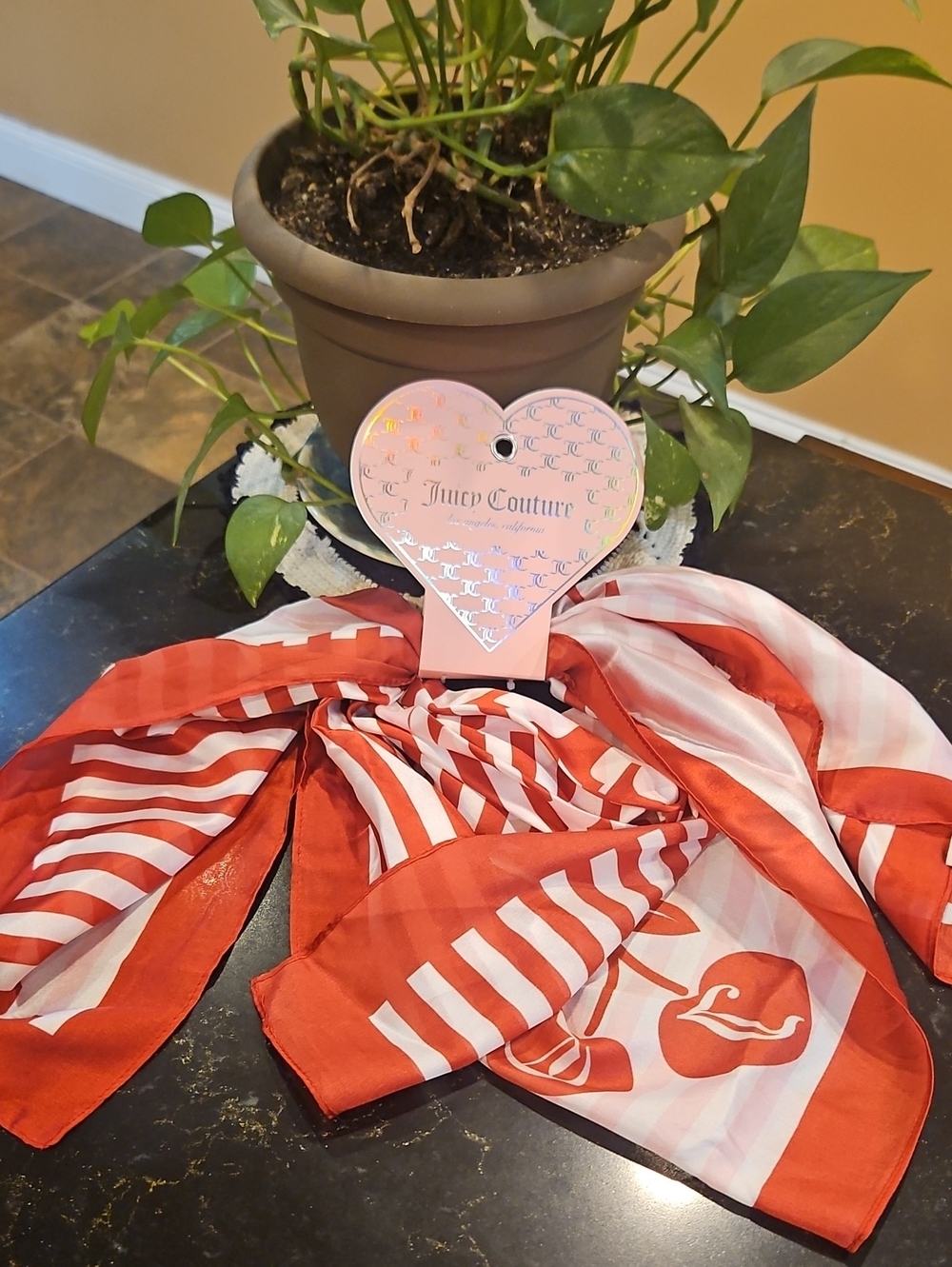 Juicy Couture Red and White Striped Logo Scarf